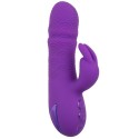 CALEXOTICS - MANHATTAN BEACH MARVEL VIBRATOR RABBIT PURPLE BY