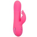 CALEXOTICS - SACRAMENTO SWEETIE VIBRADOR COELHO ROSA POR