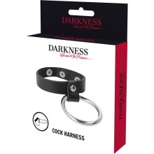 DARKNESS - ANELLO IN METALLO PER PENE E TESTICOLI