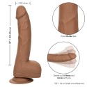 CALEXOTICS - BORCHIE IN SILICONE 20.32 CM MARRONE