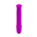 PRETTY LOVE - FLIRTATION ANTONY VIBRATOR