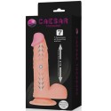 BAILE - CAESAR TREASURE REALISTISCHER DILDO UP DOWN FUNKTION