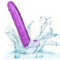 CALEXOTICS - DILDO REGINA TAGLIA VIOLA 25.5 CM