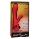 CALEXOTICS - PALISADES PASSION ROUGE