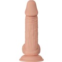 BAILE - BELLISSIMO DILDO FLESSIBILE REALISTICO ZEBULONE BAILE - BELLISSIMO DILDO FLESSIBILE REALISTICO ZEBULONE