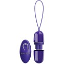 PRETTY LOVE - ARVIN YOUTH VIOLATING EGG REMOTE CONTROL VIOLET