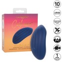 CALEXOTICS - CASHMERE CURVA VELLUTO BLU