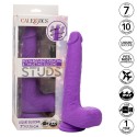 CALEXOTICS - STUDS WIEDERAUFLADBARER UND ROTIERENDER VIBRATOR 10 VIBRATIONEN LILA