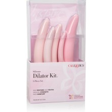 CALEXOTICS - CONJUNTO DE 5 PCS DILADOR DE SILICONE INSPIRE