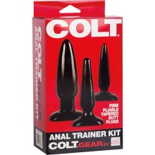 CALEXOTICS - KIT DE TREINADOR ANAL COLT