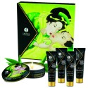 SHUNGA - SECRET GEISHA ORGANIC GREEN TEA KIT