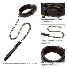 CALEXOTICS - BOUNDLESS COLLAR AND LEASH