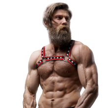 FETISH SUBMISSIVE ATTITUDE - BRUST-BULLDOG-GESCHIRR AUS