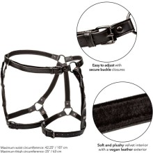 CALEXOTICS - EUPHORIA RIDING THIGH HARNESS