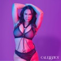 CALEXOTICS - EUPHORIA MULTICANTES HARNESS PREMIUM TAMANHO PLUS