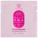 SECRETPLAY - SINGLE DOSE STRAWBERRY LUBRICANT 2 ML