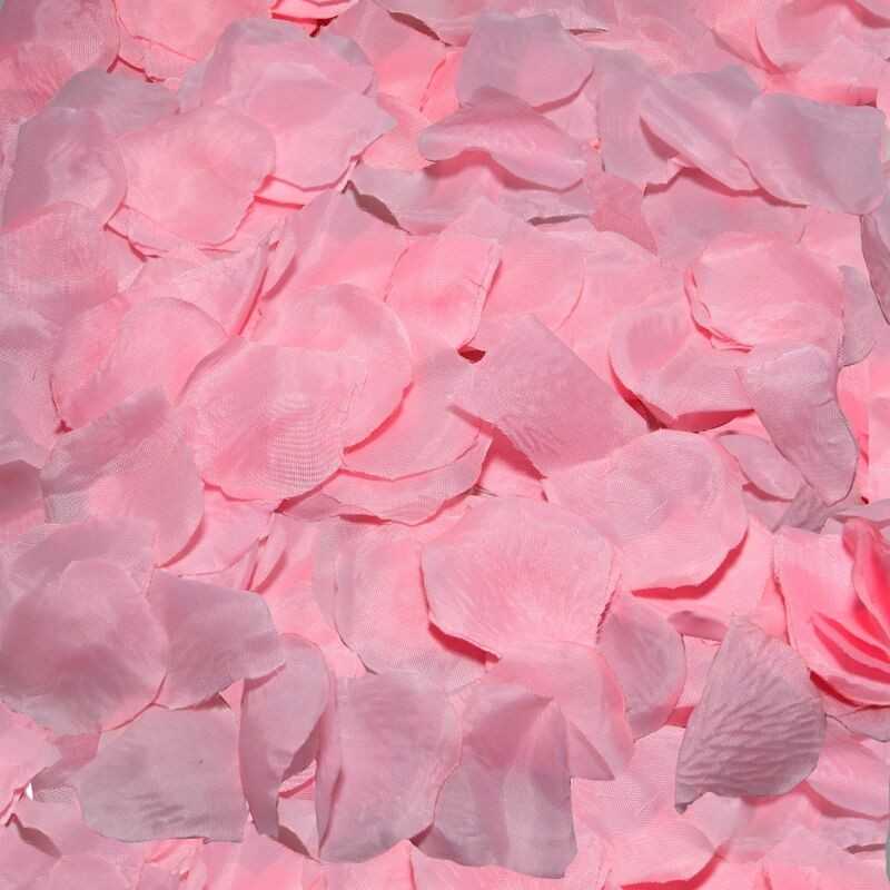 DIABLO PICANTE - 100 PINK PETALS