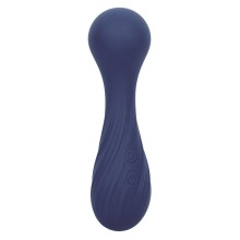 CALEXOTICS - CHARISMA TEMPTATION MASSAGER 12 FUNCTIONS PURPLE