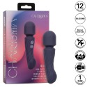 CALEXOTICS - CHARISMA ALLURE MASSAGER DOPPELMOTOR 12 FUNKTIONEN 17,25 CM X 4,5 CM LILA