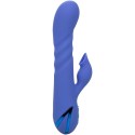 CALEXOTICS - LA LOVE VIBRATOR SUCKER BLAU VON CALIFORNIA DREAMING