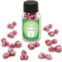 DIABLO PICANTE - 12 BONBONS PORTE-BONHEUR EN FORME DE PÉNIS FRAISE/CERISE