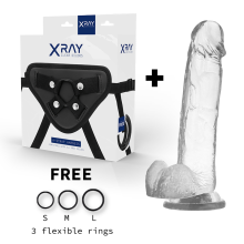 X RAY - HARNESS + COCK WITH BALLS 22 CM -O- 4.6 CM