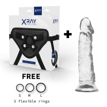 X RAY - HARNESS + CLEAR COCK 19 CM -O- 4 CM