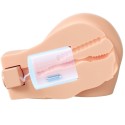 PDX ELITE - BACK THAT ASS UP REALISTISCHER VIBRIERENDER VAGINA- UND ANUS-MASTURBATOR