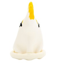CONDOMERIE - PRESERVATIVOS NOVIDADES PINTADOS À MÃO PAPAGAIO BRANCO