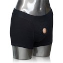 CALEXOTICS - PACKER GEAR BOXER HARNAIS M/L