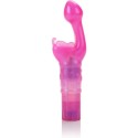 CALEXOTICS - KISS PAPILLON KISS ROSE