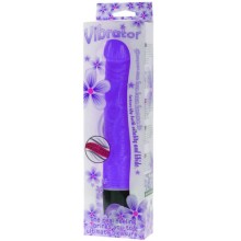 BAILE - VIBRADOR DE MULTIVELOCIDADE 21.5 CM ROXO