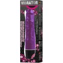 BAILE - VIBRATEUR MULTIVITESSES LILAS