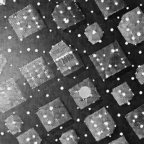The Oratomic Mirage: Why a 20,000-Qubit Promise Doesn't Break Bitcoin (Yet) The Oratomic Mirage: Why a 20,000-Qubit Promise Doesn't Break Bitcoin (Yet)