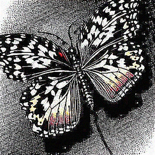 OpenAI's Luxury Influencer Trip Just Ignited a Backlash That's Not Really About the Trip