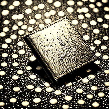 The $65,000 Bitcoin Paradox: Miner Fee Revenue Plunges to 2019 Levels, But What It Actually Means