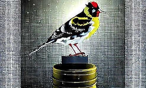 Iran's Oil Taps Drip, Asia Pays the Price: The Inflation Shockwave No One in Crypto Is Pricing